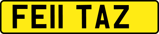 FE11TAZ