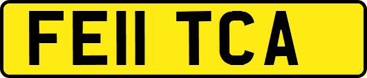 FE11TCA