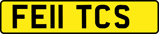 FE11TCS