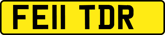 FE11TDR