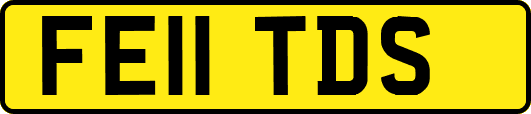 FE11TDS