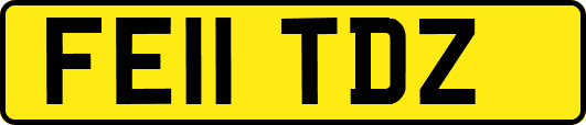 FE11TDZ