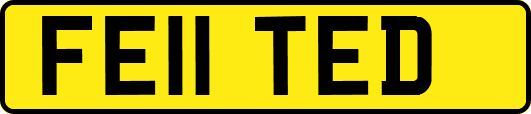 FE11TED