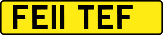 FE11TEF