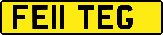 FE11TEG