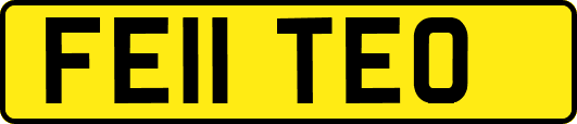 FE11TEO