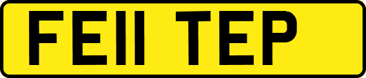 FE11TEP