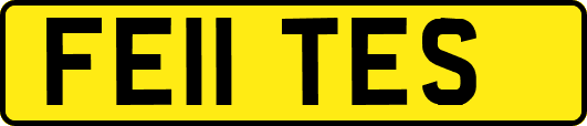 FE11TES