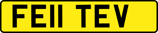 FE11TEV