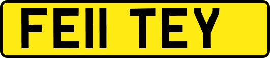 FE11TEY