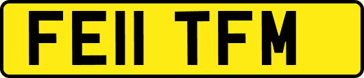 FE11TFM