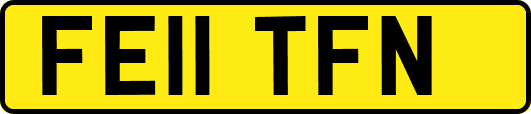FE11TFN