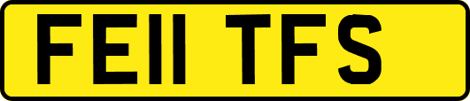 FE11TFS