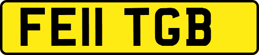 FE11TGB