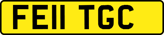 FE11TGC