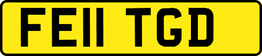 FE11TGD
