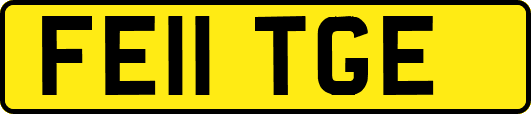 FE11TGE