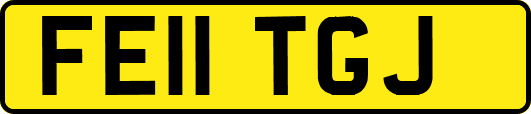 FE11TGJ