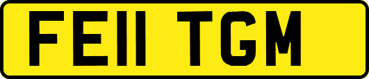 FE11TGM