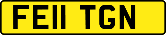 FE11TGN