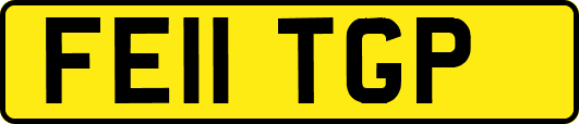 FE11TGP