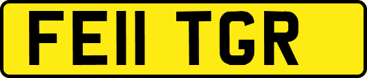 FE11TGR