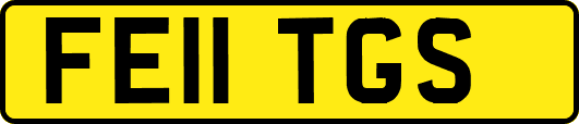 FE11TGS