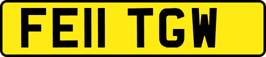 FE11TGW