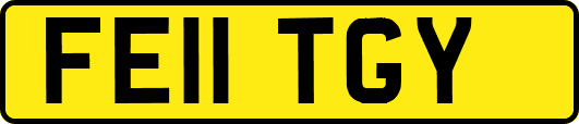 FE11TGY