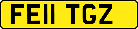 FE11TGZ