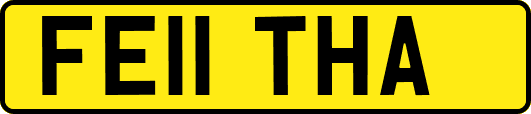 FE11THA