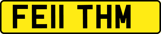 FE11THM