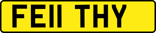 FE11THY