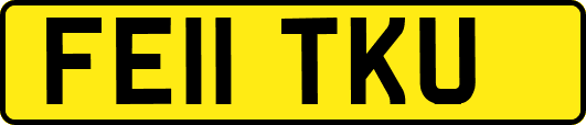 FE11TKU