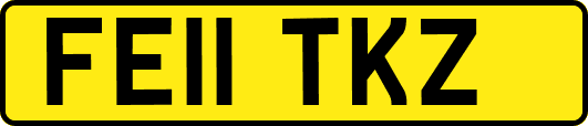 FE11TKZ
