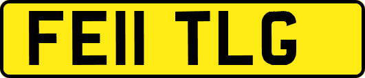 FE11TLG