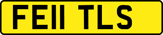 FE11TLS