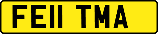 FE11TMA