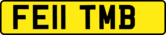 FE11TMB