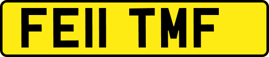 FE11TMF