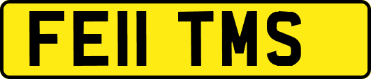 FE11TMS