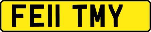 FE11TMY