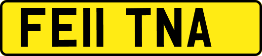 FE11TNA