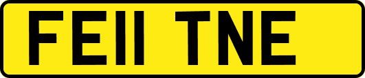FE11TNE