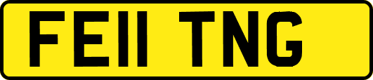 FE11TNG