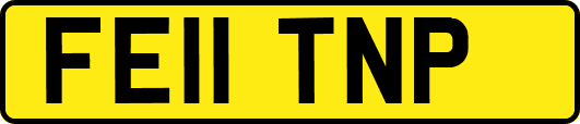 FE11TNP
