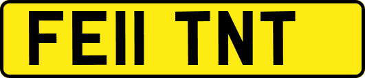 FE11TNT