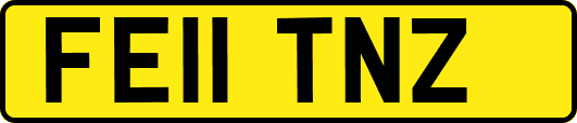 FE11TNZ