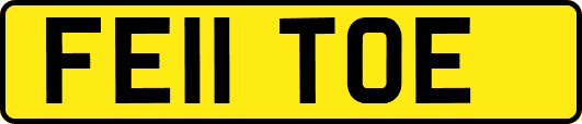 FE11TOE