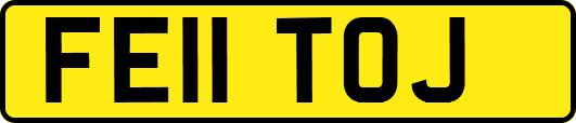 FE11TOJ
